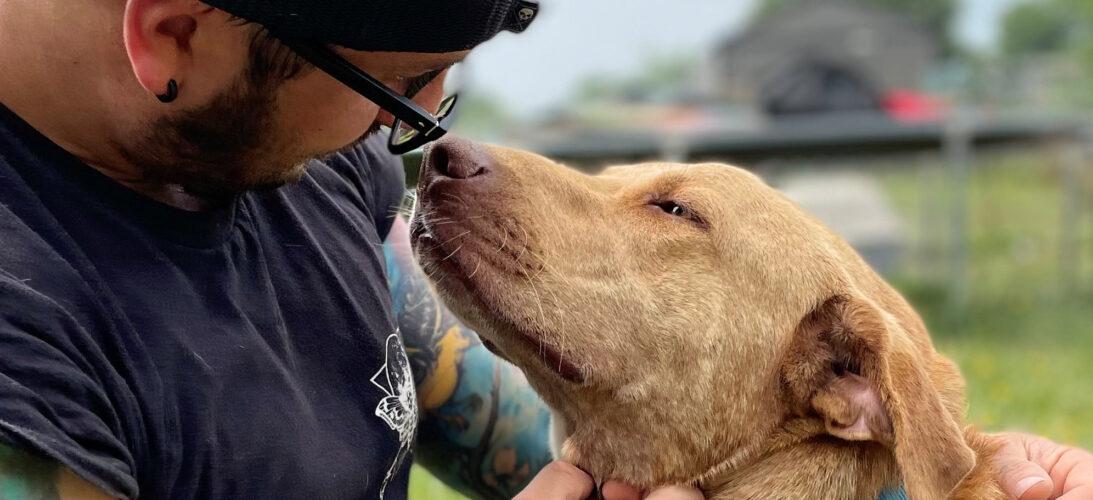 Sanctuary Rescue Summit's Sanctuary – Dog Rescue